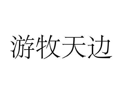 旅游交通安排注册商标第39类