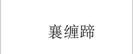 肉罐头申请商标_注册 “襄缠蹄”第29类加工食品