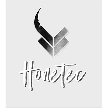 演出申请商标_注册 “HONETEV”第41类教育培训