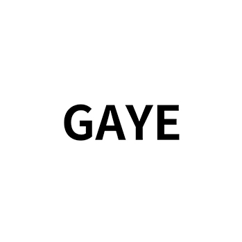购物袋注册“GAYE”于商标第18类皮革制品